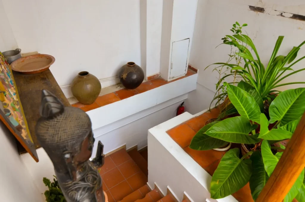 A view from the top of a terracotta-tiled staircase in a riverfront apartment for sale, featuring potted green plants, ceramic vases on a ledge, and a decorative statue in a brightly lit interior with white walls.