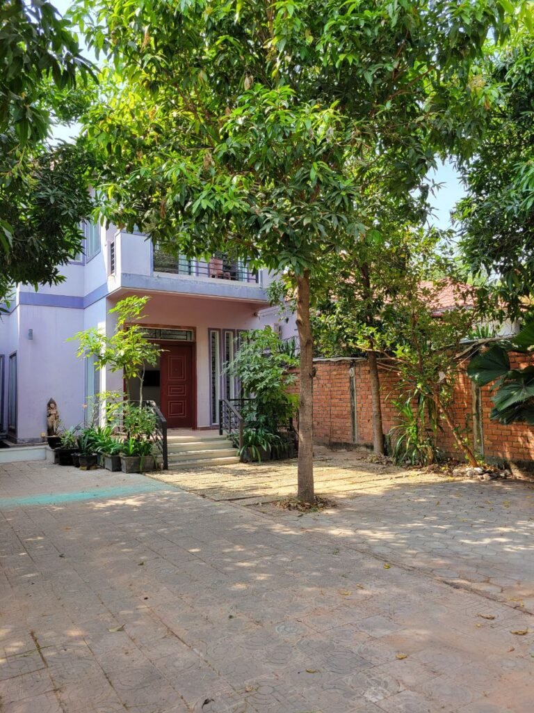 A two-story house with a purple exterior and red doors is surrounded by trees and greenery. There is a brick wall on one side and a paved courtyard in front, with sunlight filtering through the leaves.